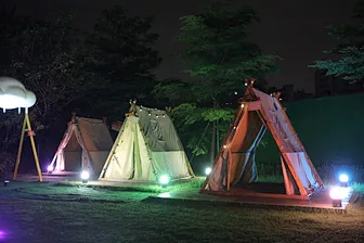 battery led par light